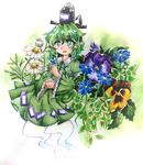  andonkurage blush_stickers daisy dress flower ghost_tail gradient gradient_background green_dress green_eyes green_hair hat highres long_sleeves looking_at_viewer pansy parted_lips short_hair soga_no_tojiko solo tate_eboshi touhou traditional_media violet_(flower) watercolor_(medium) 