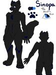  black_fur blue_eyes blue_fur canine fox fur mammal model_sheet sinopa_wicasa skytea 