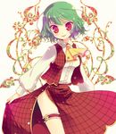  ascot bad_id bad_pixiv_id garters green_hair kazami_yuuka leg_garter plaid plaid_skirt plaid_vest red_eyes short_hair skirt skirt_set smile sokomushi solo touhou vest 