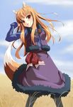  animal_ears brown_hair grune highres holo long_hair red_eyes solo spice_and_wolf tail wheat wolf_ears wolf_tail 