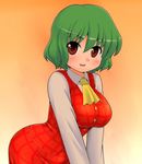  bad_id bad_pixiv_id breast_squeeze breasts curvy green_hair impossible_clothes impossible_vest kazami_yuuka kyokutou_hentai_samurai large_breasts leaning_forward red_eyes short_hair skirt skirt_set smile solo touhou v_arms vest 