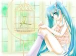  bad_id bad_pixiv_id bird green_eyes green_hair hakuou_(levi77) hatsune_miku long_hair parrot solo twintails very_long_hair vocaloid 