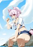  animal_ears bare_shoulders black_bra blush bra casual cloud collarbone crop_top crop_top_overhang day eating ice inubashiri_momiji izou midriff navel off_shoulder open_fly outdoors pier red_eyes silver_hair sitting sitting_on_rock sky soaking_feet solo tail touhou underwear unzipped water wolf_ears wolf_tail 