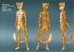  brown_eyes feline male mammal model_sheet muscles no_genitals nude plantigrade solo stripes 