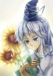  blue_eyes fingernails flower gradient gradient_background hand_on_own_chest hat highres japanese_clothes kariginu long_sleeves looking_at_viewer mononobe_no_futo object_hug ponytail short_hair sidelocks silver_hair simple_background smile solo sunflower tate_eboshi touhou upper_body yekong 