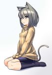  animal_ears bike_shorts cat_ears cat_tail isoro_(myouan) kemonomimi_mode myouan original sitting sleeves_past_wrists smile socks solo sweater tail v_arms wariza 