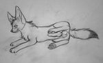  balls canine canine_penis claws digitigrade fennec feral ffefox fox fur invalid_tag looking_at_viewer mammal monochrome pawpads penis plain_background presenting raised_leg snowyzi solo traditional_media tuft 