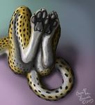  4_toes abstract_background anthro anus butt cheetah claws cryme_the_cheetah digitigrade feline foot_focus fur hindpaw inviting khraym lying male mammal nude pawpads paws presenting soles solo spots toes white_fur yellow_fur 