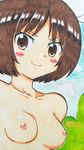  1girl :3 amagami artist_request blush breasts brown_eyes brown_hair female mehonobu_g nipples nude short_hair solo tachibana_miya traditional_media 