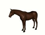  ambiguous_gender animated black_eyes brown_body chriddof equine feral hooves horse mammal open_mouth plain_background solo standing unknown_artist white_background 