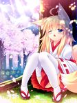  animal_ear_fluff animal_ears blonde_hair blue_eyes cherry_blossoms fox_ears fox_tail grass japanese_clothes long_hair miko mountain one_eye_closed open_mouth original petals roshin sitting solo tail thighhighs tree 