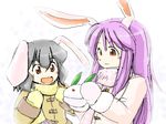  animal_ears bunny_ears coat inaba_tewi multiple_girls oekaki reisen_udongein_inaba saiba scarf snow_bunny touhou winter_clothes 