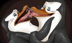  beak blush gay kissing kowalski madagascar male moonwolf03 penguin penguins_of_madagascar saliva skipper 