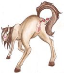  anal_beads anatomically_correct blush equine female feral hooves horse mammal pussy sex_toy solo themasterdramon 