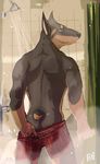  anthro biceps butt canine cuson doberman dog fur looking_at_viewer looking_back male mammal shower solo underwear undressing 