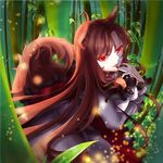  animal_ears bamboo bamboo_forest breast_rest breasts brooch brown_hair dress finger_licking fingernails fisheye forest glowing glowing_eyes imaizumi_kagerou jewelry leaf licking light_particles long_fingernails long_hair looking_at_viewer medium_breasts mizurapi nature pale_skin parted_lips red_eyes shawl solo tail touhou wolf_ears wolf_tail 