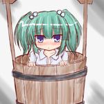  :&lt; bad_id bad_pixiv_id blue_eyes blush bucket collarbone frown gradient gradient_background green_eyes green_hair hair_bobbles hair_ornament in_bucket in_container kisume looking_at_viewer o_omune_(kagu8) open_clothes open_shirt shirt short_hair simple_background sketch solo touhou twintails wooden_bucket 