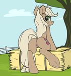  anus applejack_(mlp) blonde_hair butt cloud cutie_mark equine fence feral freckles friendship_is_magic green_eyes hair happy hay horse long_hair looking_at_viewer looking_back mammal my_little_pony notsafeforhoofs outside pony presenting presenting_hindquarters pussy smile solo tree 