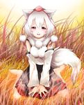  animal_ears bad_id bad_pixiv_id barefoot blush breasts chikuwa_savi detached_sleeves happy hat inubashiri_momiji looking_at_viewer medium_breasts open_mouth pom_pom_(clothes) red_eyes short_hair silver_hair sitting skirt smile solo tail tokin_hat touhou v_arms wariza wolf_ears wolf_tail 