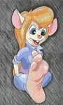  barefoot chip_&#039;n_dale_rescue_rangers chip_'n_dale_rescue_rangers coveralls disney gadget gadget_hackwrench hackwrench hindpaw ivanpost mammal mouse paws rodent toes traditional_media 