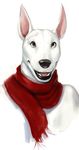  brown_eyes bust canine clothed clothing darkgem dog fangs fur happy male mammal open_mouth plain_background scarf solo white_background white_fur 