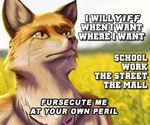  canine crying drama fox furry_pride fursecution fursecution_fox internet male mammal meme necklace pride rainbow_necklace rainbow_symbol reaction_image serious solo taurin_fox tears text 