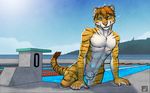  allegro anthro balls blue_eyes feline fur hybrid liger liglig looking_at_viewer male mammal muscles nude outside pool sheath sky solo stripes swimming_pool tiger tsaiwolf water wet 