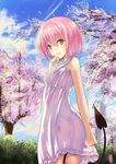  bad_id bad_pixiv_id blush breasts cherry_blossoms day demon_tail dress highres looking_at_viewer momo_velia_deviluke park pink_eyes pink_hair short_hair shoutai_(7490773) sky small_breasts solo spring_(season) sundress tail to_love-ru to_love-ru_darkness tree 