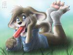  blue_eyes bottomless brown_fur candy canine collar cub dog food fur husky lollipop male mammal messy outside saliva socks solo suggestive suggestive_food young zen 