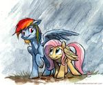  blue_eyes duo equine female fluttershy_(mlp) friendship_is_magic hair mammal multi-colored_hair my_little_pony pegasus pink_hair purple_eyes rain rainbow_dash_(mlp) raining sophiecabra wet wet_hair wings 