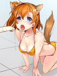  ajishio all_fours animal_ears blue_eyes blush breasts brown_hair cleavage collarbone drooling instrument kemonomimi_mode kousaka_honoka looking_at_viewer love_live! love_live!_school_idol_project medium_breasts one_side_up open_mouth panties recorder saliva sexually_suggestive short_hair solo sweat tail tareme tongue tongue_out underwear 