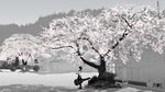  architecture building cherry_blossoms commentary east_asian_architecture emukami highres instrument_case monochrome original school_uniform serafuku short_hair solo spring_(season) tree 