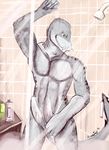  abs anthro arm_above_head armpits asher_tail biceps erection fish green_eyes grey_body grey_penis grey_skin hemipenes looking_at_viewer male marine multi_cock muscles navel nude open_mouth pecs penis pose shark sharp_teeth shower slit_pupils smile solo standing tapering_penis teeth vein water wet whiskers 