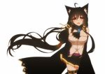  animal_ears black_hair fox_ears fur_trim highres konshin long_hair low-tied_long_hair pixiv_fantasia pixiv_fantasia_fallen_kings red_eyes solo very_long_hair 