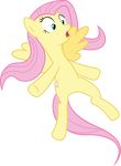  alpha_channel equine female feral fluttershy_(mlp) friendship_is_magic hi_res horse mammal my_little_pony pegasus pony quanno3 wings 