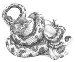  anthro blotch cum feline lion looking_pleasured male mammal penis plain_background python reptile scalie snake tapering_penis vorarephilia white_background 