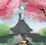  animal_ears ankle_boots black_legwear blue_sky boots capelet cherry_blossoms day fingernails jewelry looking_at_viewer mouse_ears mouse_tail nazrin open_hand outstretched_arm pantyhose pendant red_eyes road shadow short_hair silver_hair skirt skirt_set sky smile solo tail touhou tree tsutsunuke 