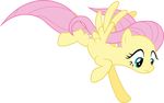  alpha_channel equine female feral fluttershy_(mlp) friendship_is_magic hi_res horse mammal my_little_pony pegasus pony quanno3 wings 