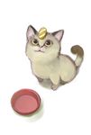  animal bowl cat cat_focus coin from_above gen_1_pokemon looking_up meowth no_humans pekako pet_bowl pokemon pokemon_(creature) realistic simple_background solo whiskers white_background yellow_eyes 