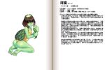  character_profile cucumber duplicate kappa kappa_(monster_girl_encyclopedia) kenkou_cross monster_girl monster_girl_encyclopedia official_art solo translation_request 