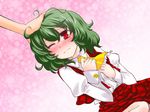  ascot bad_id bad_pixiv_id blush dutch_angle green_hair kazami_yuuka messy_hair myama out_of_frame petting plaid plaid_skirt plaid_vest red_eyes short_hair skirt skirt_set slit_pupils solo_focus touhou vest wince 