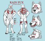  anthro arctic balls canine fur fux looking_at_viewer male mammal markings model_sheet nude rain rainfux raus sheet solo white_fur wolf 