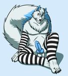  5_toes anthro blue_fur blue_penis canine fox fur heterochromia kanki_dasai knot leg_warmer legwear male mammal penis plain_background pose precum raus stockings toes white_fur 