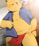  brown_nose chubby clothing fundoshi hinami inside kemono male navel open_shirt shirt solo underwear undressing 