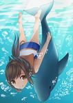  air_bubble bare_legs barefoot brown_eyes brown_hair bubble diving dolphin freediving highres holding_breath i-401_(kantai_collection) kantai_collection ponytail sailor_collar school_swimsuit shigi_(shigi_4) short_hair smile swimming swimsuit underwater 
