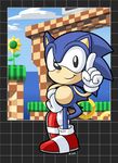  anthro black_nose cloud gloves hedgehog looking_at_viewer male mammal rongs1234 sega shaded signature sky smile solo sonic_(series) sonic_the_hedgehog video_games 