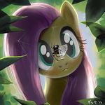  arthropod butterfly daruqe equine female fluttershy_(mlp) friendship_is_magic fur green_eyes hair insect mammal my_little_pony outside pegasus pink_hair spider web wings yellow_fur 