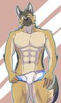  amber_eyes anthro biceps black_nose blush boxers brown_fur bulge canine dog front frontal_view fur german_shepherd kemono looking_at_viewer male mammal muscles nipples pecs solo standing sum_kemono tan_fur topless underwear 