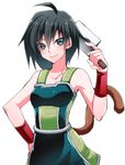  ahoge armor black_hair cleaver collarbone dragon_ball dragon_ball_z emappo gine meat_cleaver simple_background smile solo tail white_background 