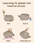  animated cat cute edit english_text feline fur grey_fur human humor mammal plain_background pusheen pusheen_corp simple_background text whiskers 